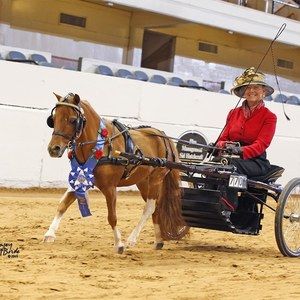 Meet your Posher, Martha